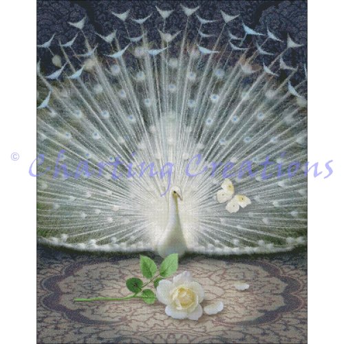 (image for) Release - White Peacock